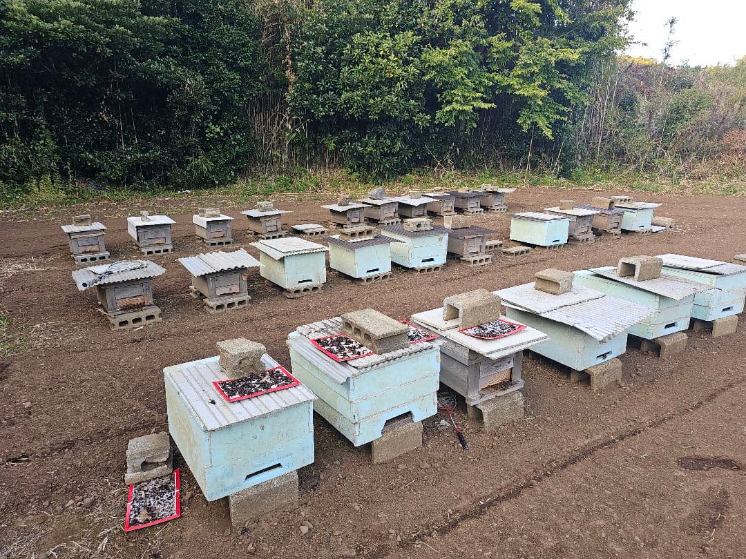 【ひで】クリーム百花蜜 800g1本　500g 　1本 計2本1300g