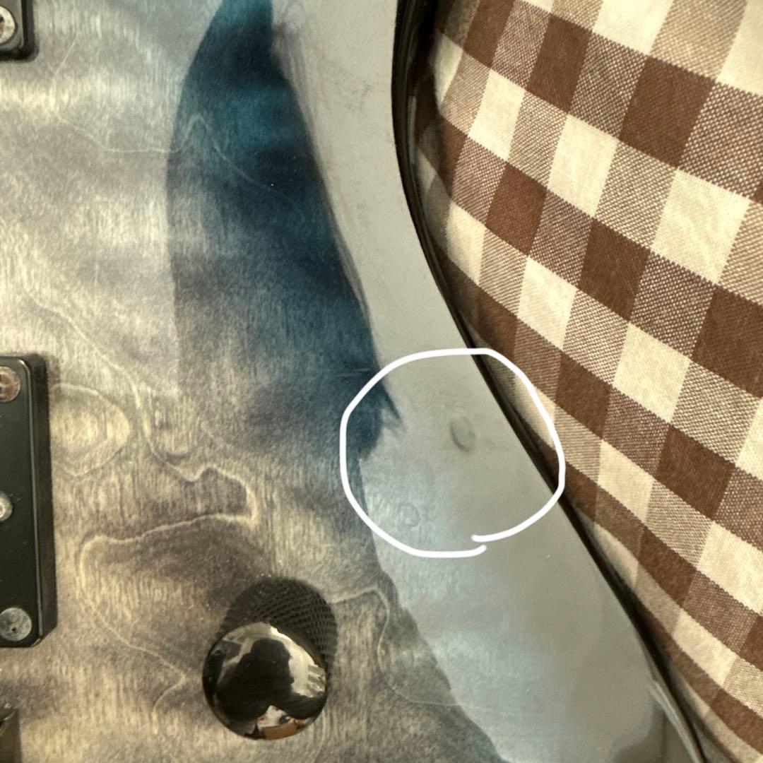 限定値下げ　PRS SE Mark Holcomb ロック式ベグ