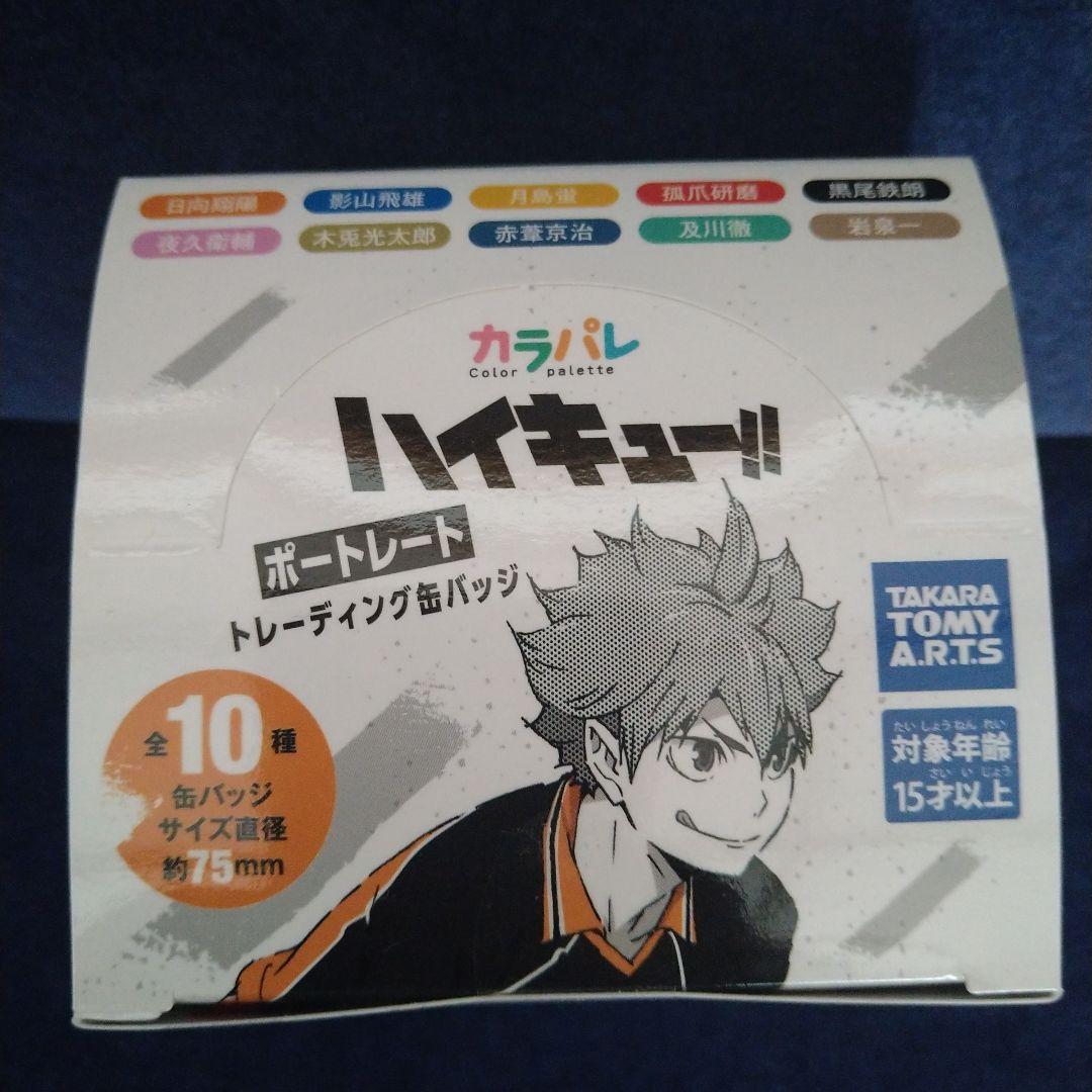 ハイキュー 缶バッジ 全10種　ポートレート　カラパレ　BOX