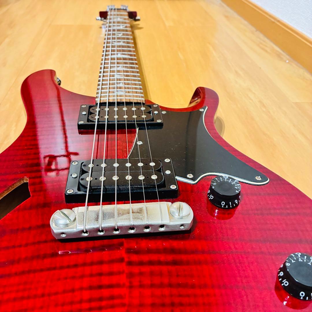 Paul Reed Smith PRS SE CUSTOM 【未使用に近い】
