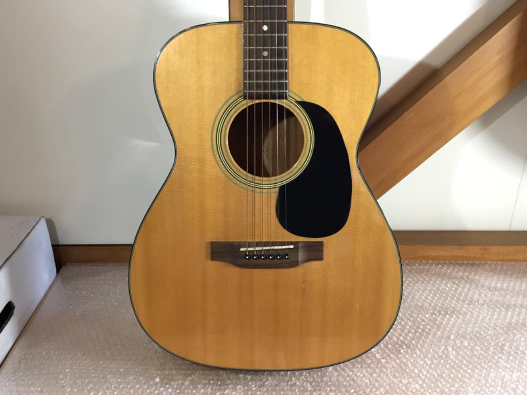 ○Aria Dreadnought アコースティックギター AF-25N ケース