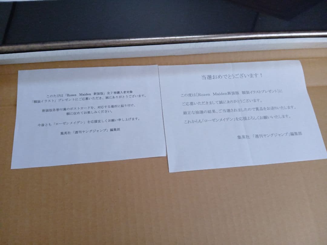 ローゼンメイデン 薔薇乙女 500名限定? 額装イラスト 額縁 レア