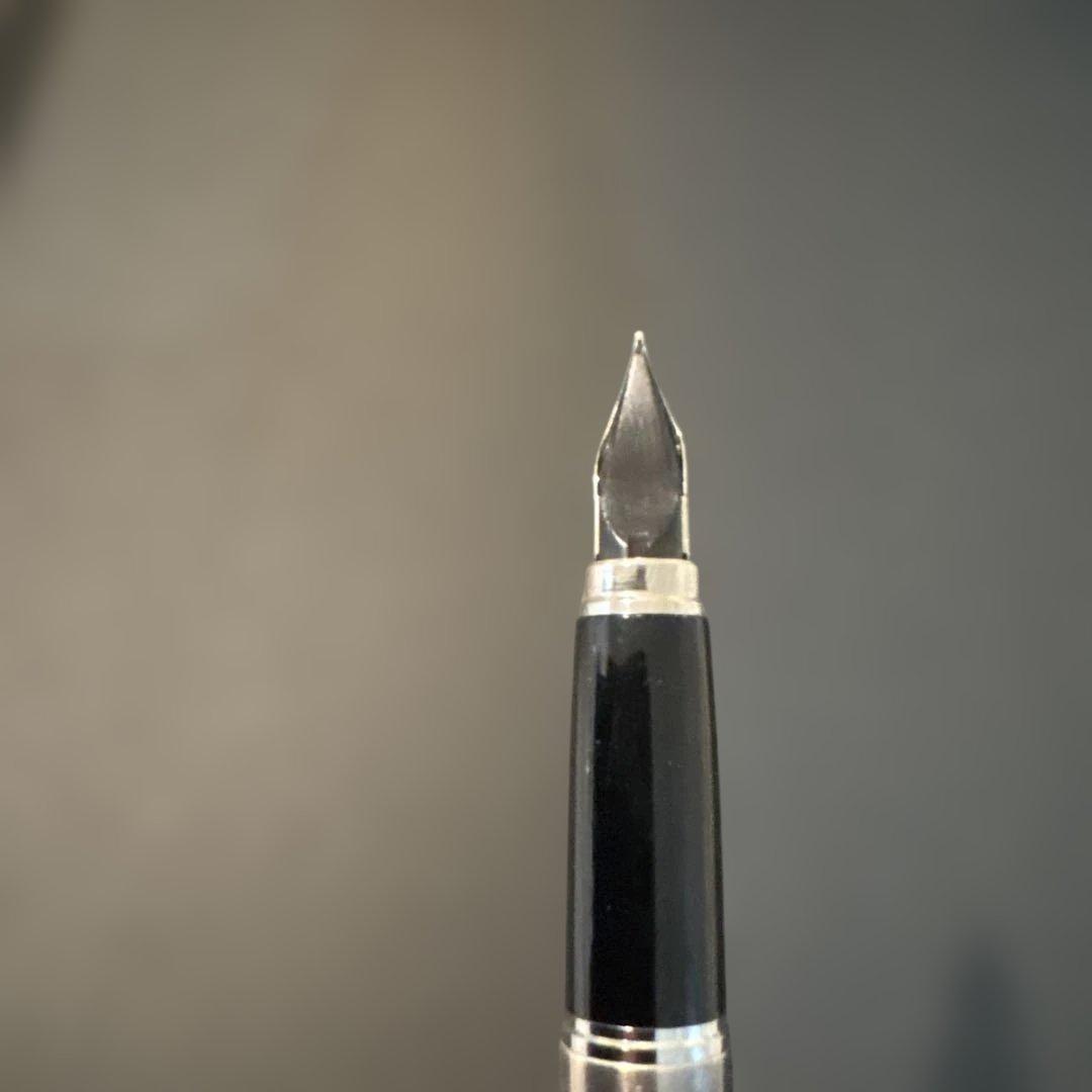 PLATINUM万年筆リビエール銀河