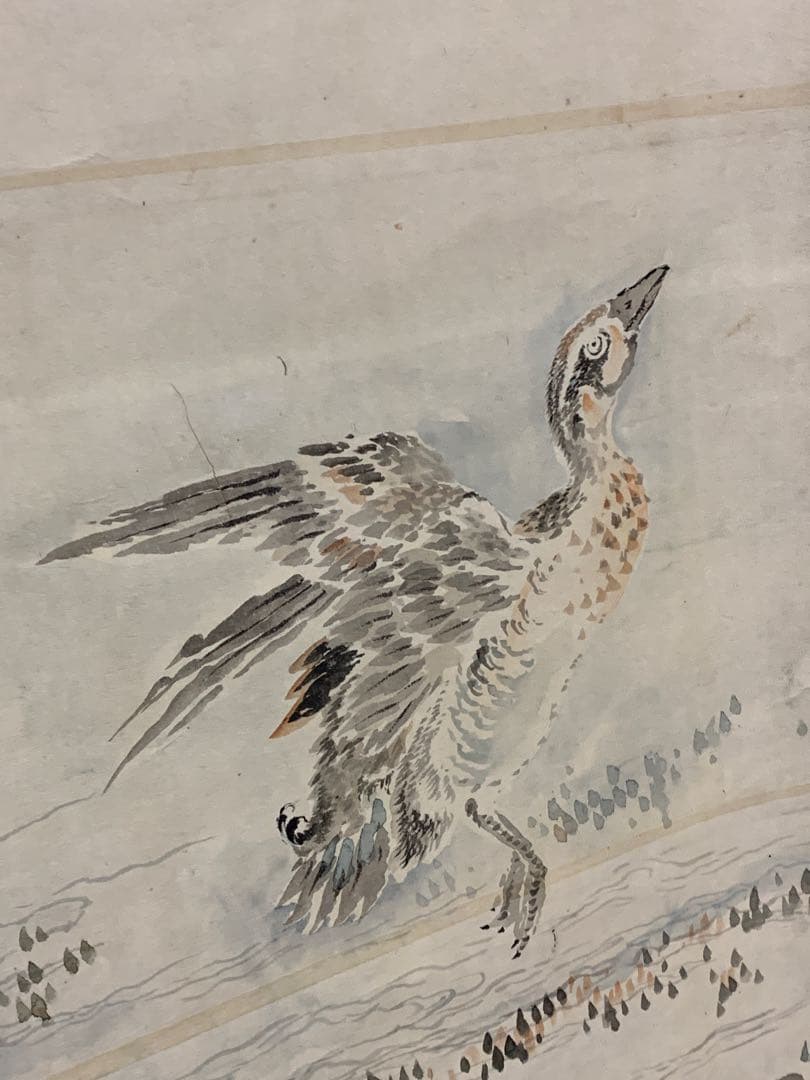 『9087』大幅 群水鳥図 無落款 掛軸