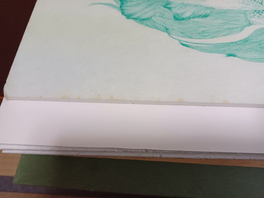 作者不明　「ネオタキシード」(仮題)　　肉筆ペン画　細密画　ヒグチユウコ彷彿