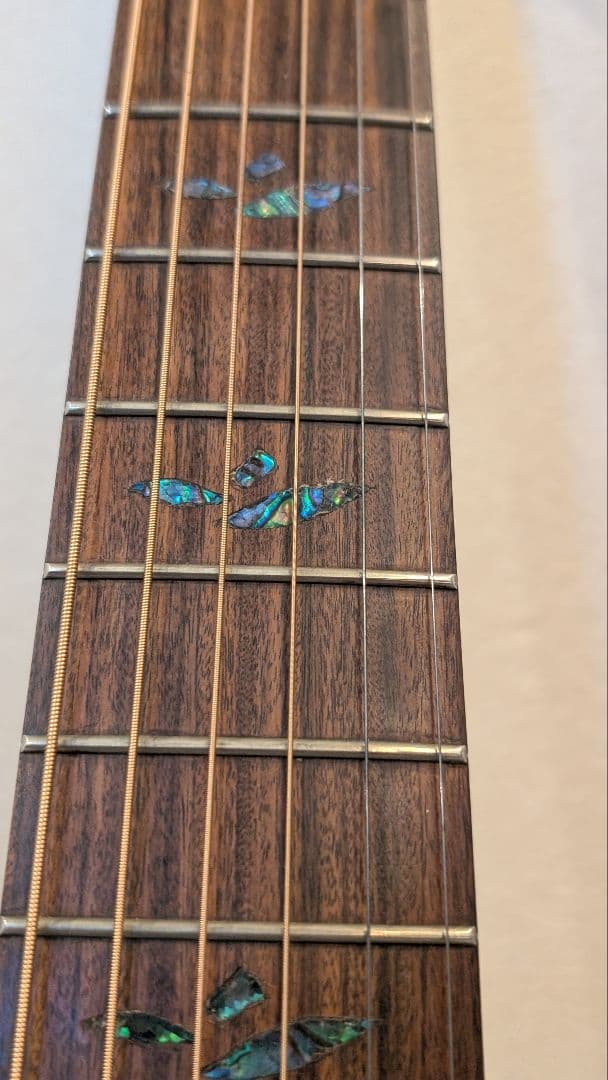 Martin & Co. DXM アコースティックギター マーチン　USA