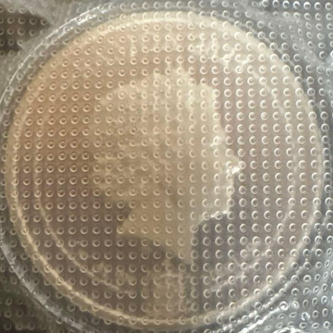 2023年　サモア　九尾の狐銀貨　1オンス　カプセル付き