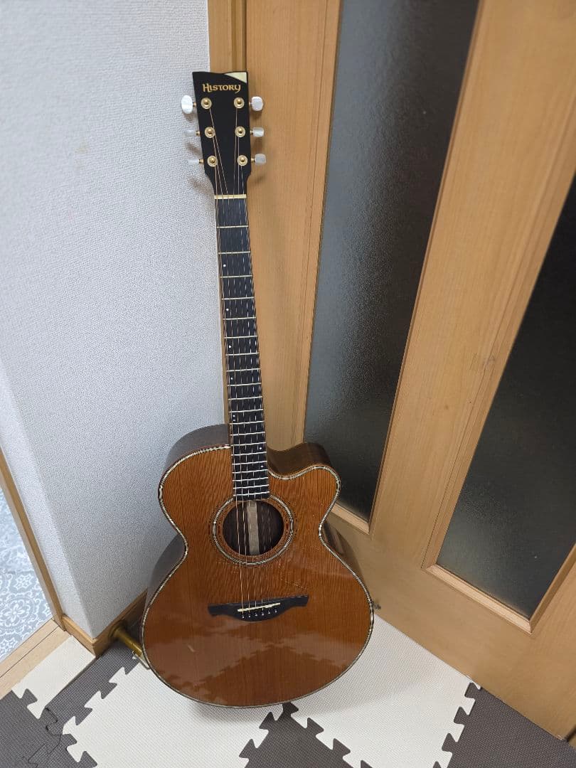 アコースティックギターHISTORY NT-301