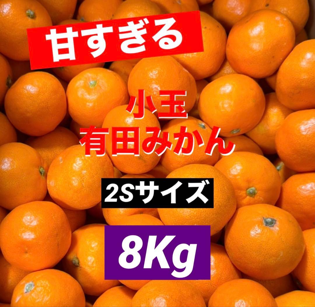 236)数量限定　甘すぎる　有田みかん　果物 　みかん　小玉　旬