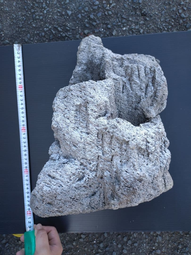 ADA 雲山石 XL 穴3個 水槽 レイアウト石 水槽レイアウト 水槽用石