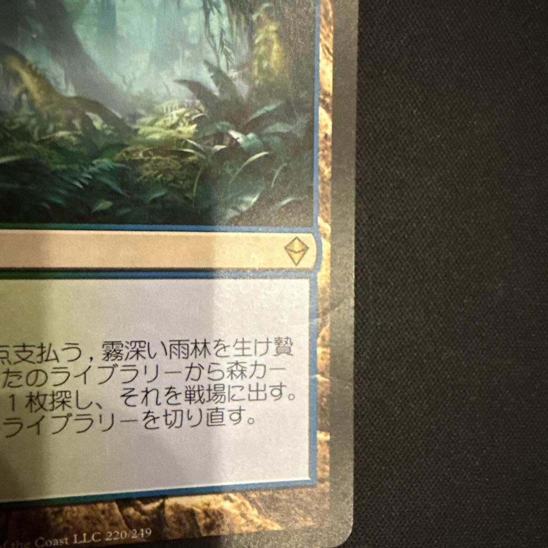 mtg 霧深い雨林　日本語4枚セット