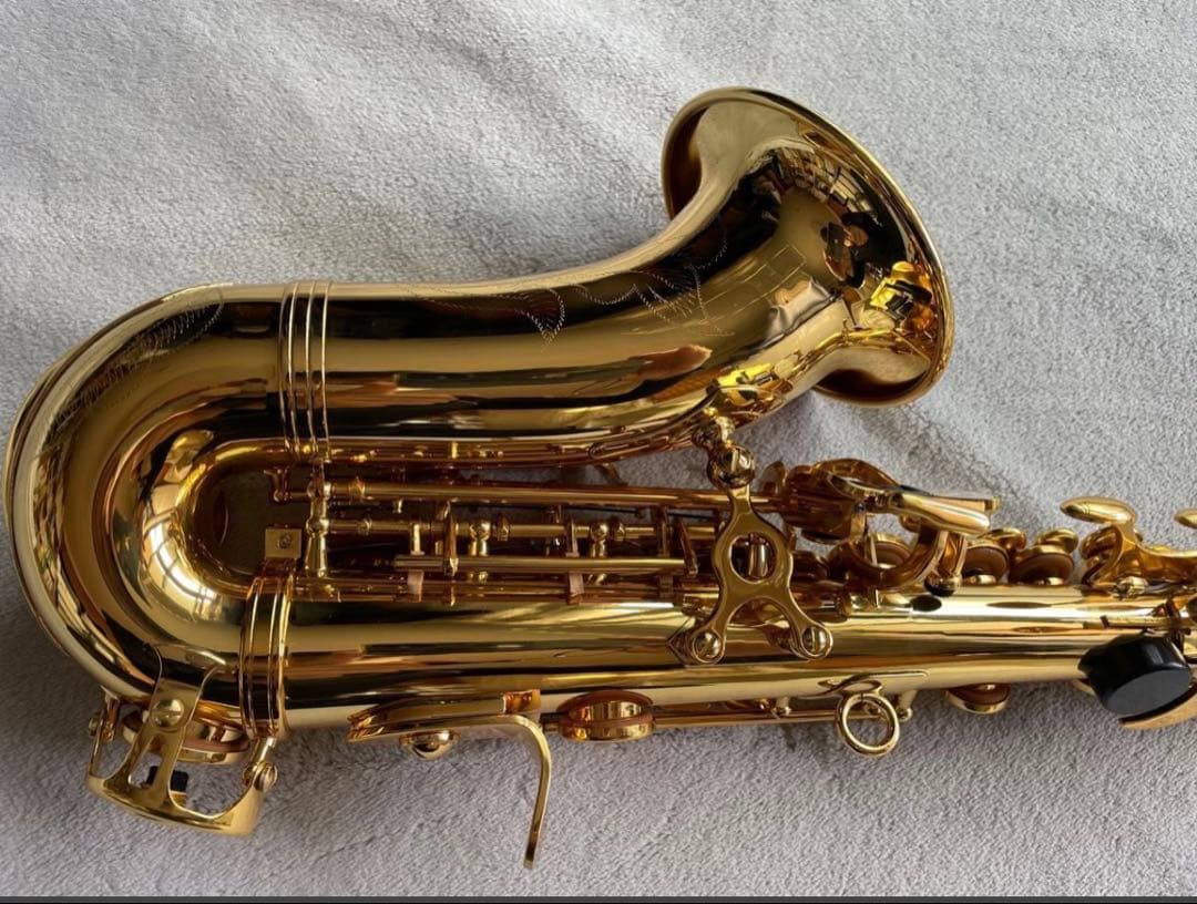 【今月限定新品】カーブドソプラノサックス 唯一無二の音色！動画あり・豪華特典つき