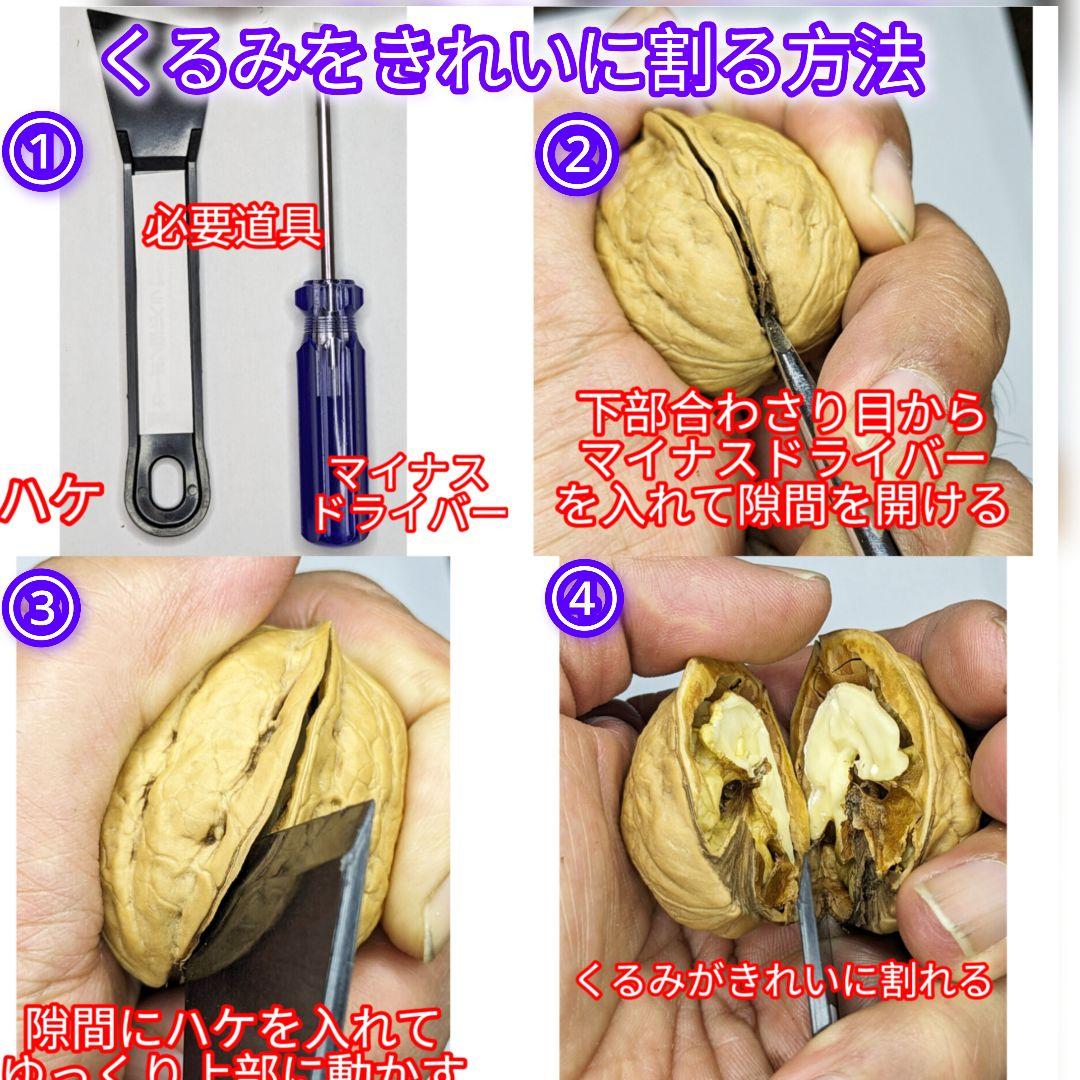 MARIKURI商品 25年 長野県 東御市 信濃くるみ サイズ小10kg