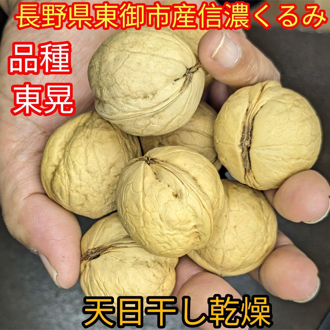 MARIKURI商品 25年 長野県 東御市 信濃くるみ サイズ小10kg