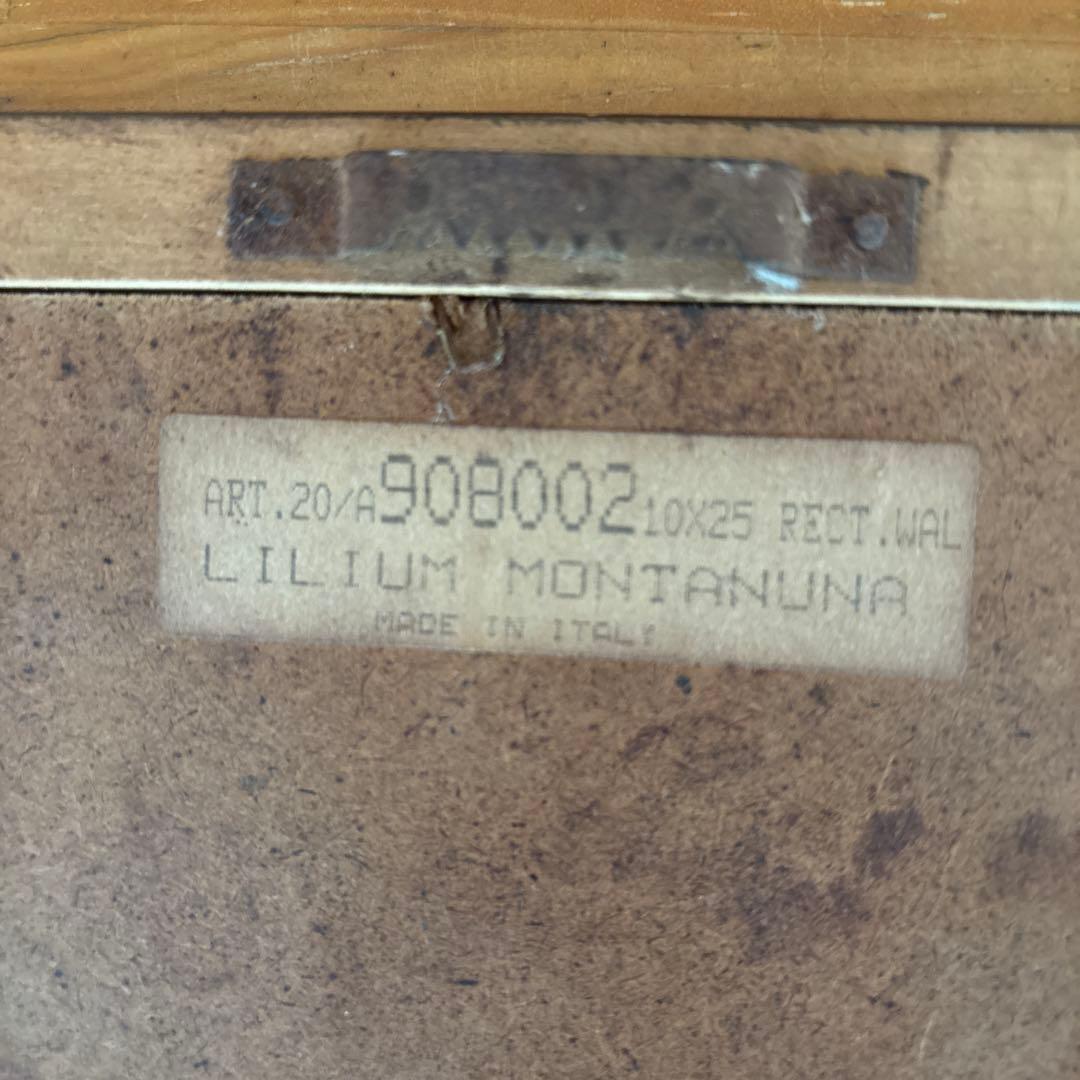 Lilium Montanum & Digitalis flower リトグラフ