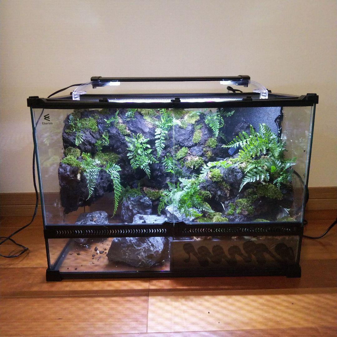 アクアテラリウム