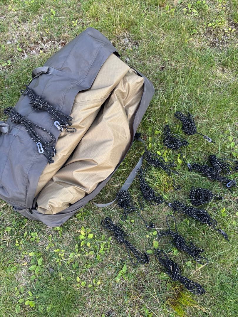 ゼインアーツ ギギ２ GIGI2