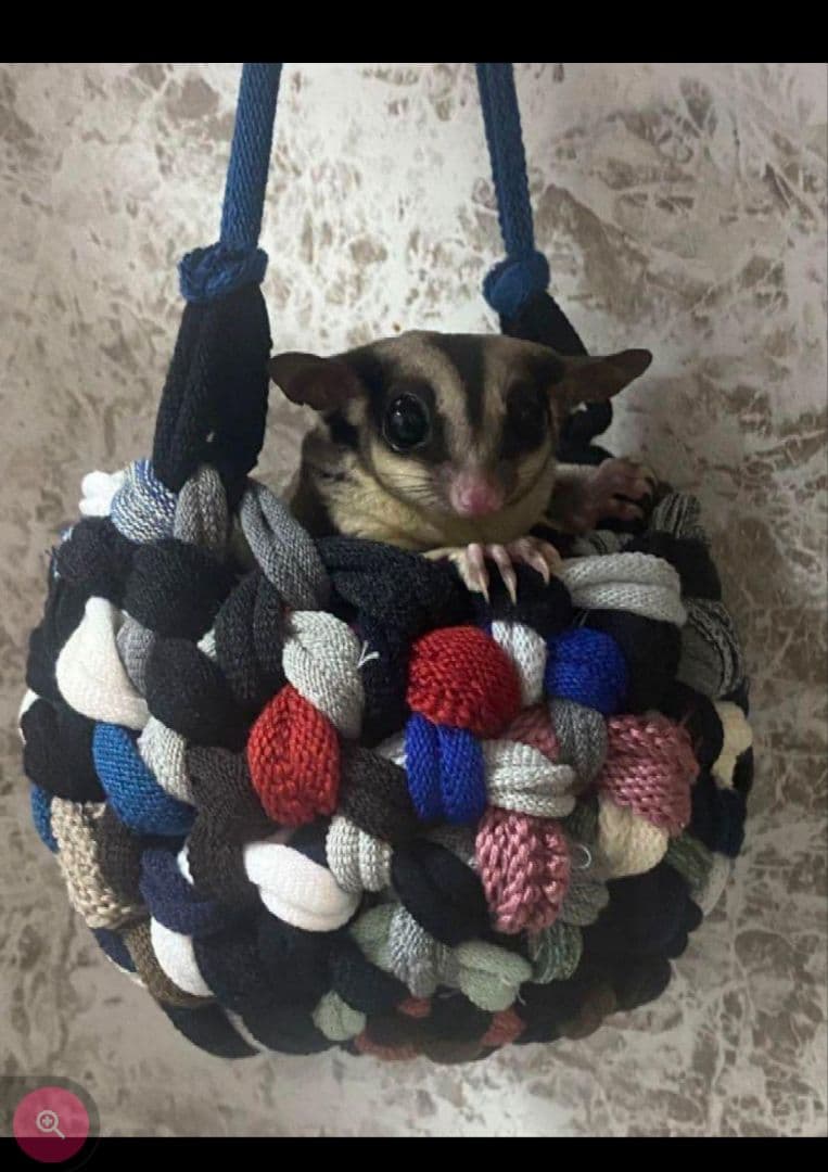 モモンガかごポーチ♡カラーお任せ１個♡中サイズ♡ハンギングバスケット