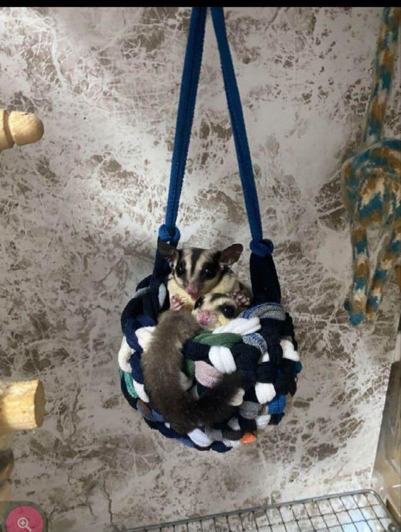 モモンガかごポーチ♡カラーお任せ１個♡中サイズ♡ハンギングバスケット