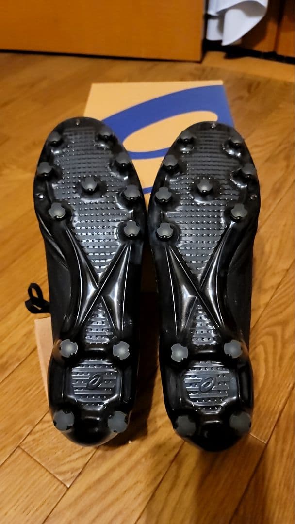 asics DS LIGHT X-FLY 4 JAPAN 27.5cm 新品