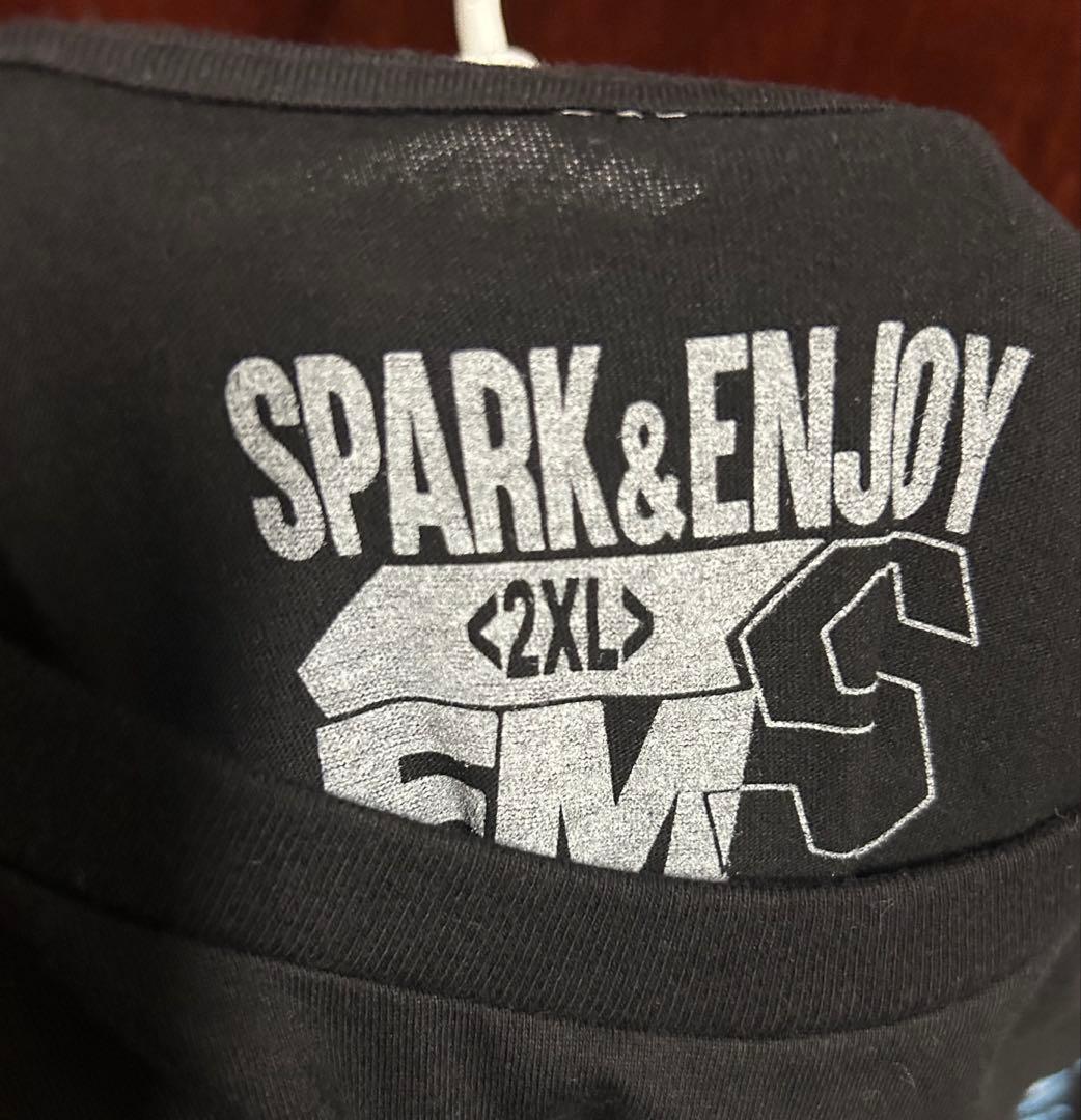 激レア!! スタイナーブラザーズ シャツ 2XLサイズ WWE WWF WCW