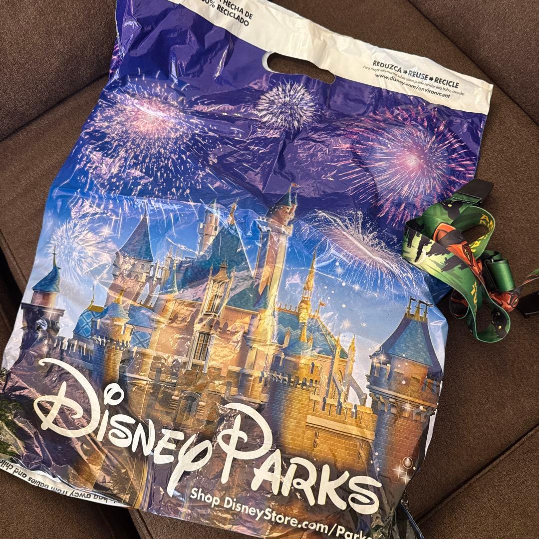 WDW ライオンキング スカー ポップコーンバケット ヴィランズ グッズ