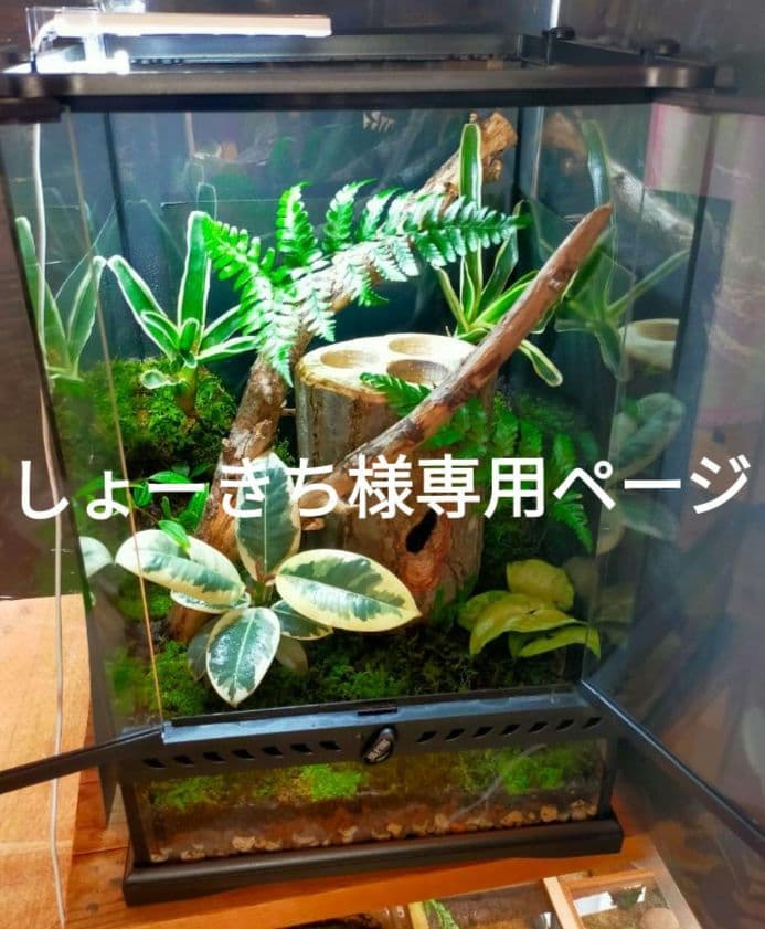 しょーきちページ