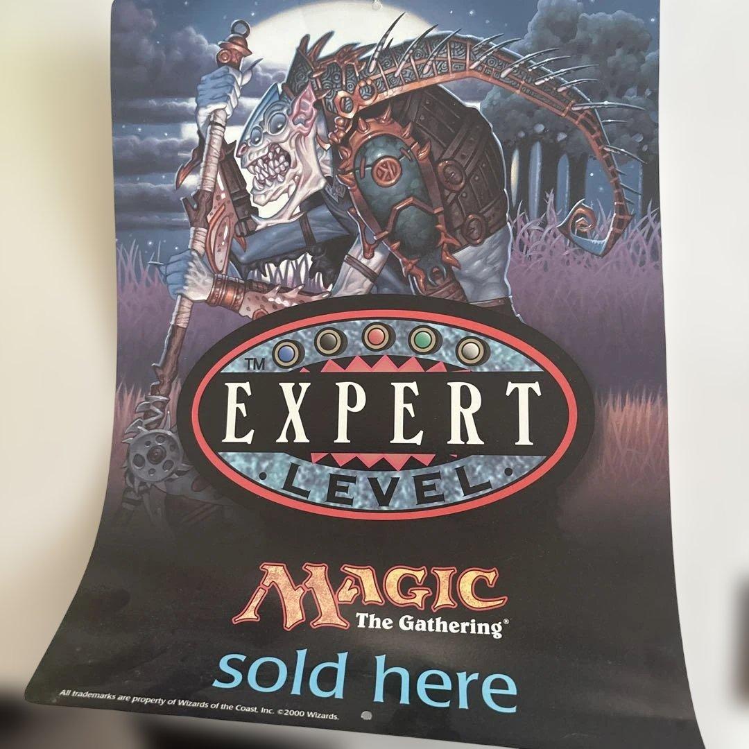 Magic: The Gathering EXPERT LEVEL ポスター