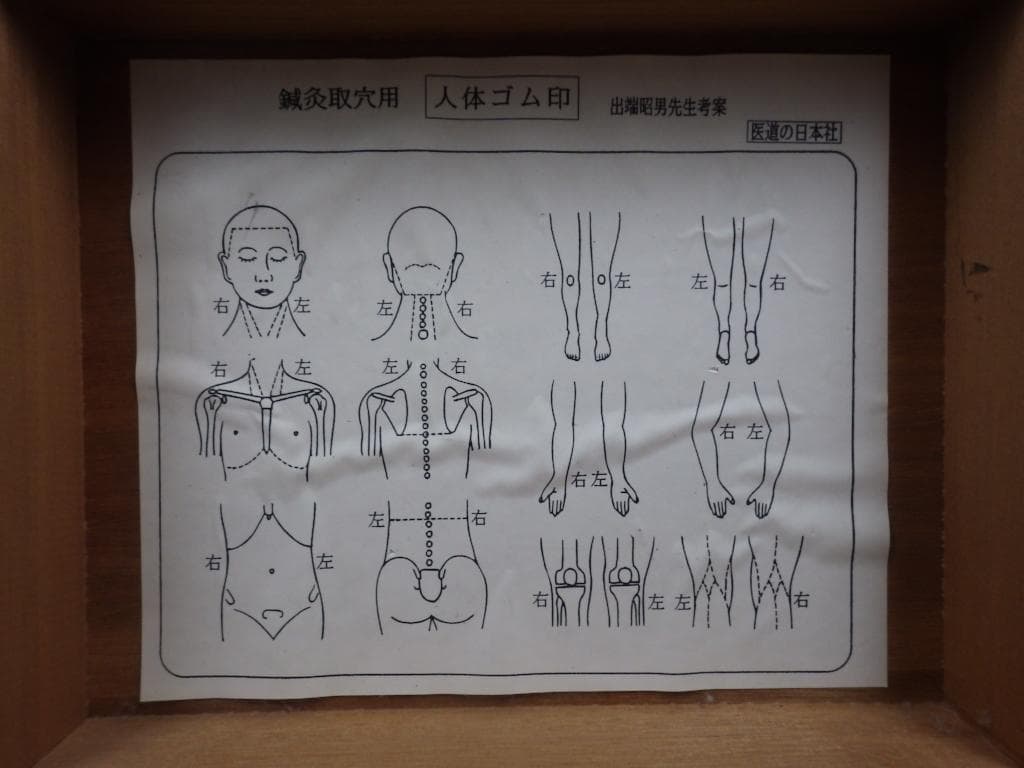 48 医道の日本社 人体ゴム印 出端昭男先生考案 計12点