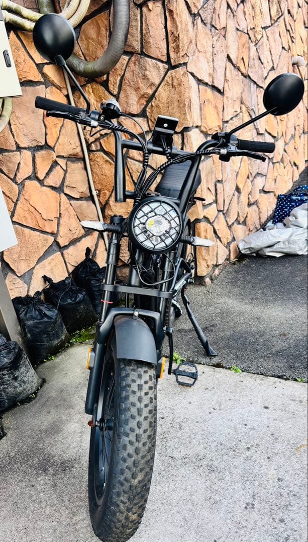 HOUPET 原動機付自転車 電動アシスト自転車 500W