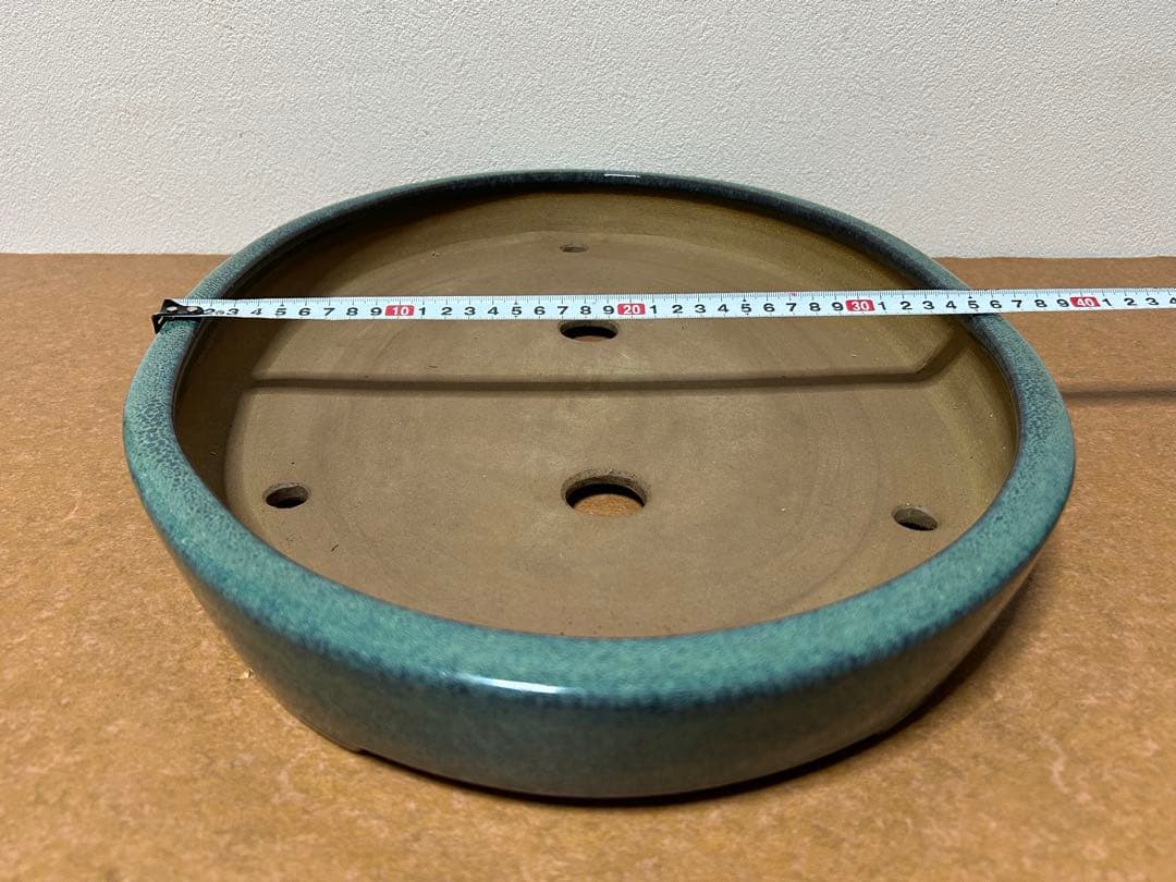 碧水　盆栽鉢　山野草