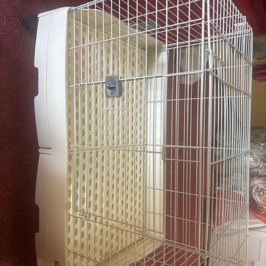 イージーホームエボ