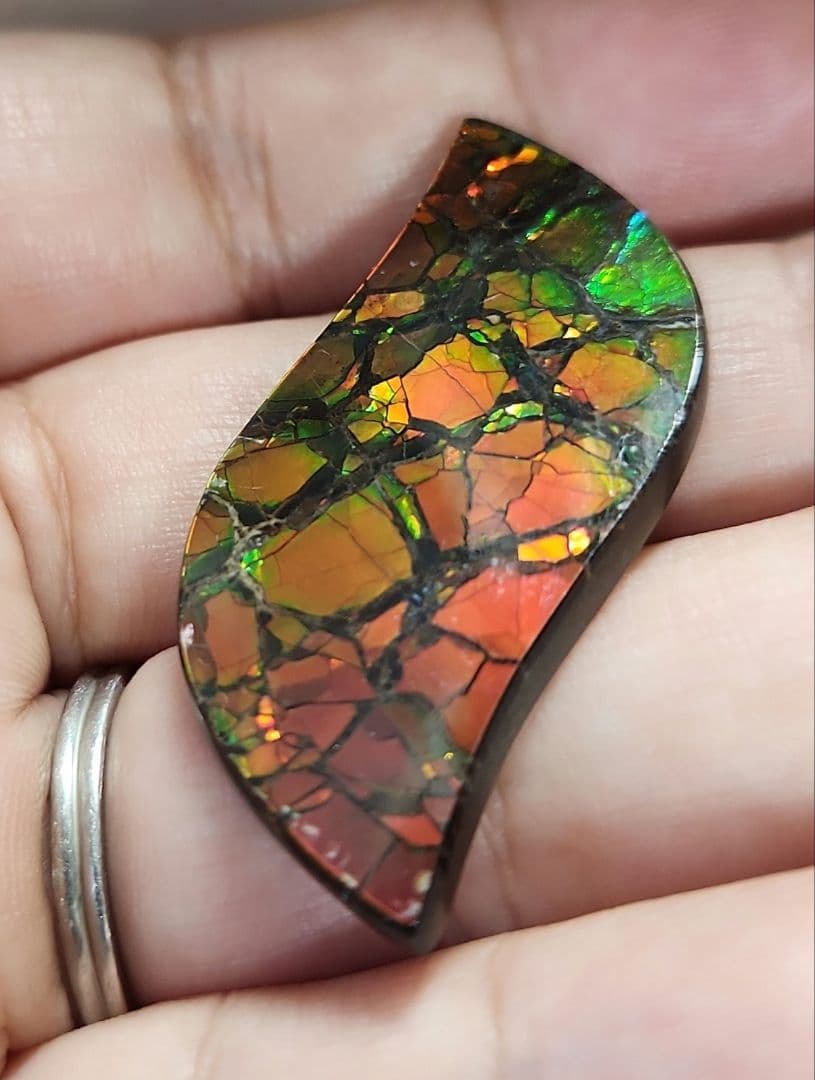 高品質！特大！天然アンモライト 30.233ct