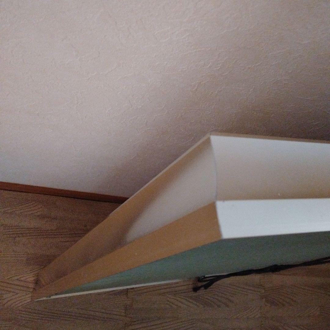 赤富士　作者田中芳園　保証書付