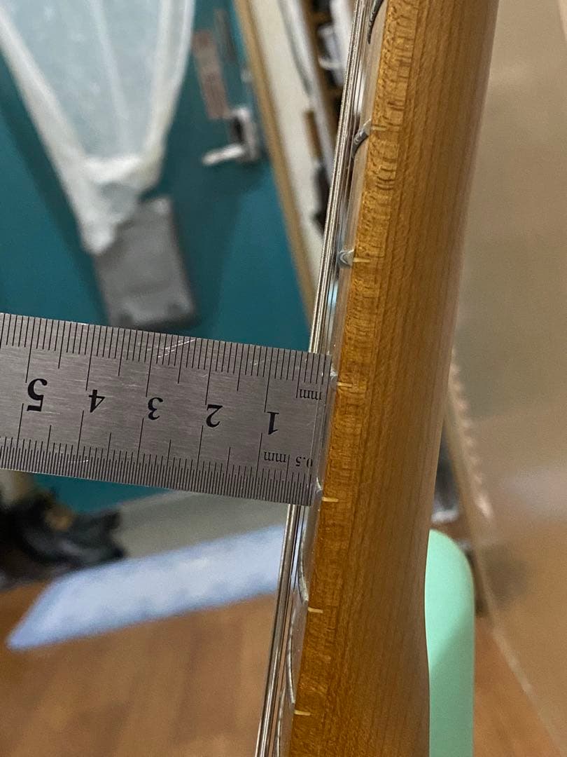 テト様　Bacchus エレキギター ミントグリーン