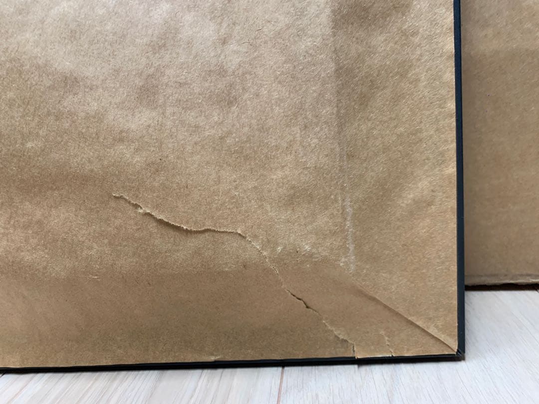 ディズニー　ジャングルクルーズ　絵　アート　レア disney fine art