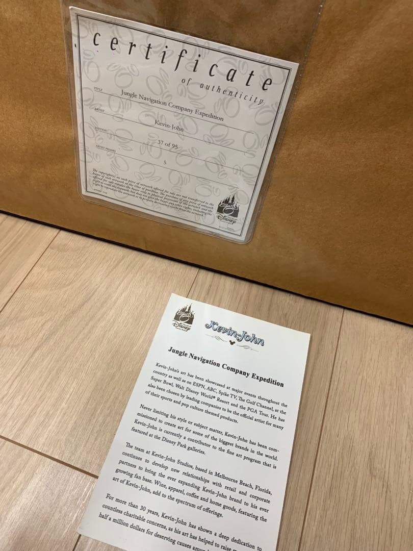 ディズニー　ジャングルクルーズ　絵　アート　レア disney fine art