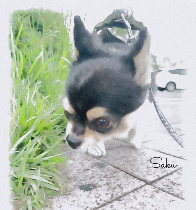 うちの子イラスト（データ納品）