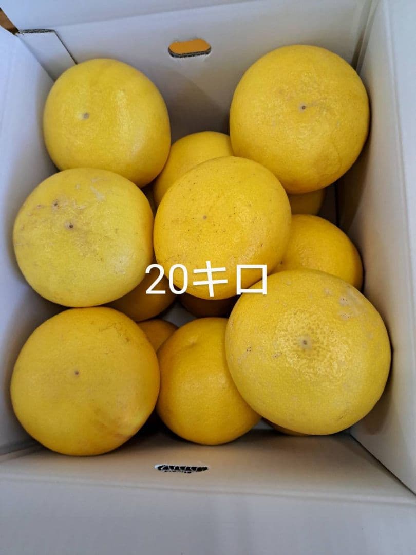 地元果物屋おすすめ高知宿毛産土佐文旦4Lサイズ20キロ家庭用大【メルカリ便送込