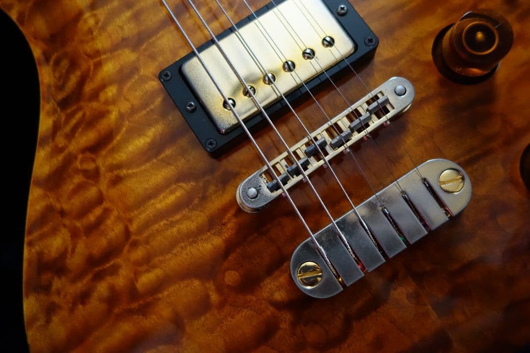 Dean hardtail Pro フジゲン製