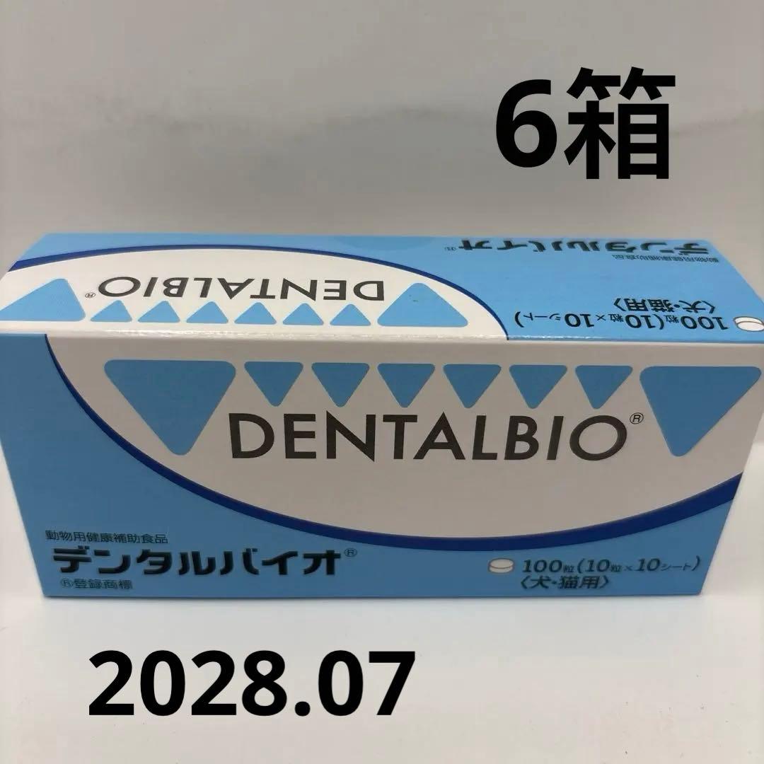 共立製薬 デンタルバイオ 100粒（10粒×10シート） ＊6箱