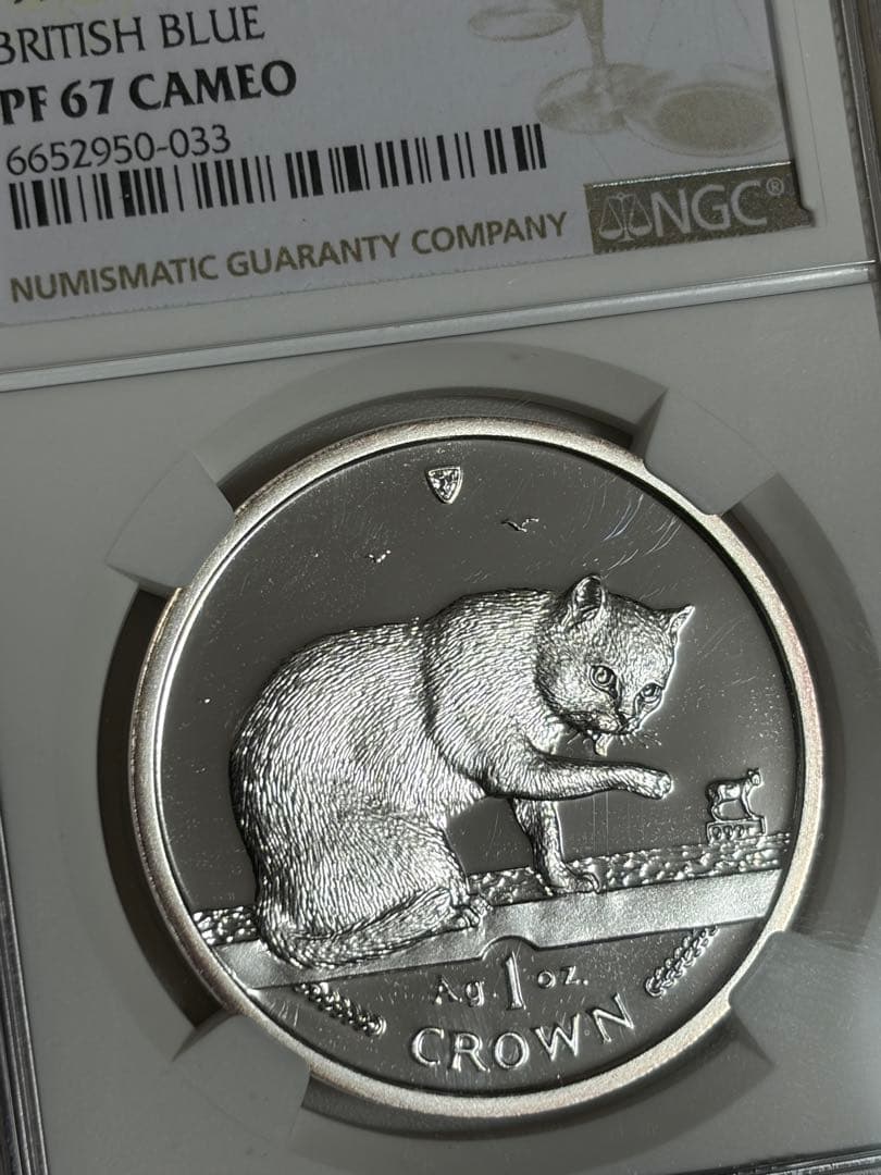 キャットシリーズ