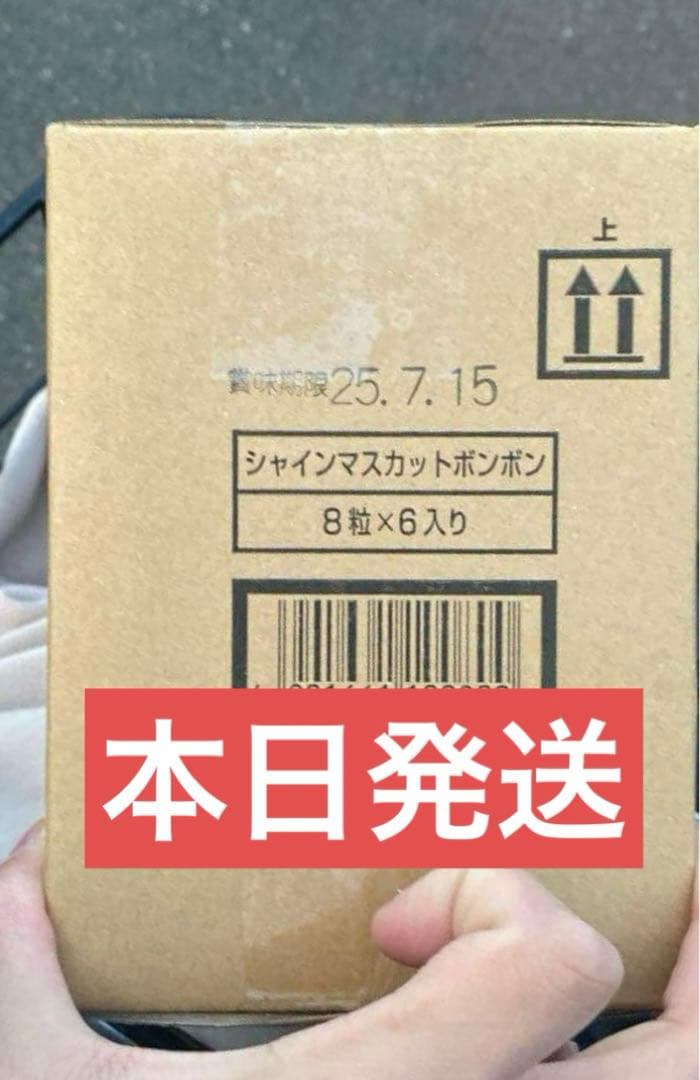 【新品・未開封・即納】　シャインマスカットボンボン　6袋