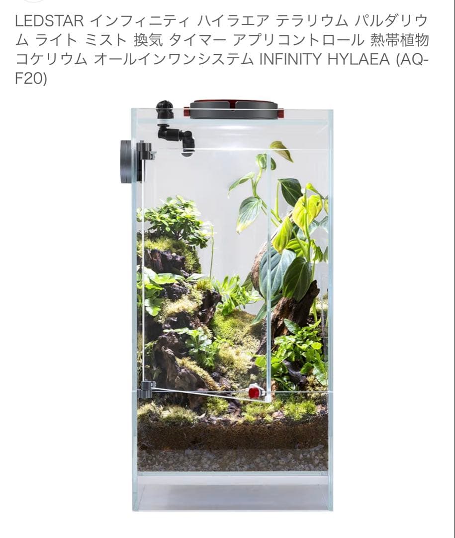 INFINITY HYLAEA インフィニティ ハイラエア