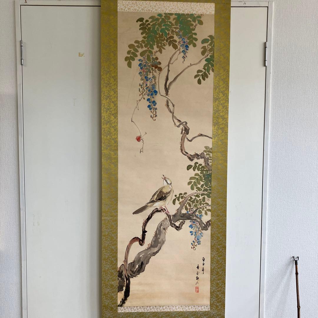 掛軸•日本画　森山香浦「藤に百舌鳥」