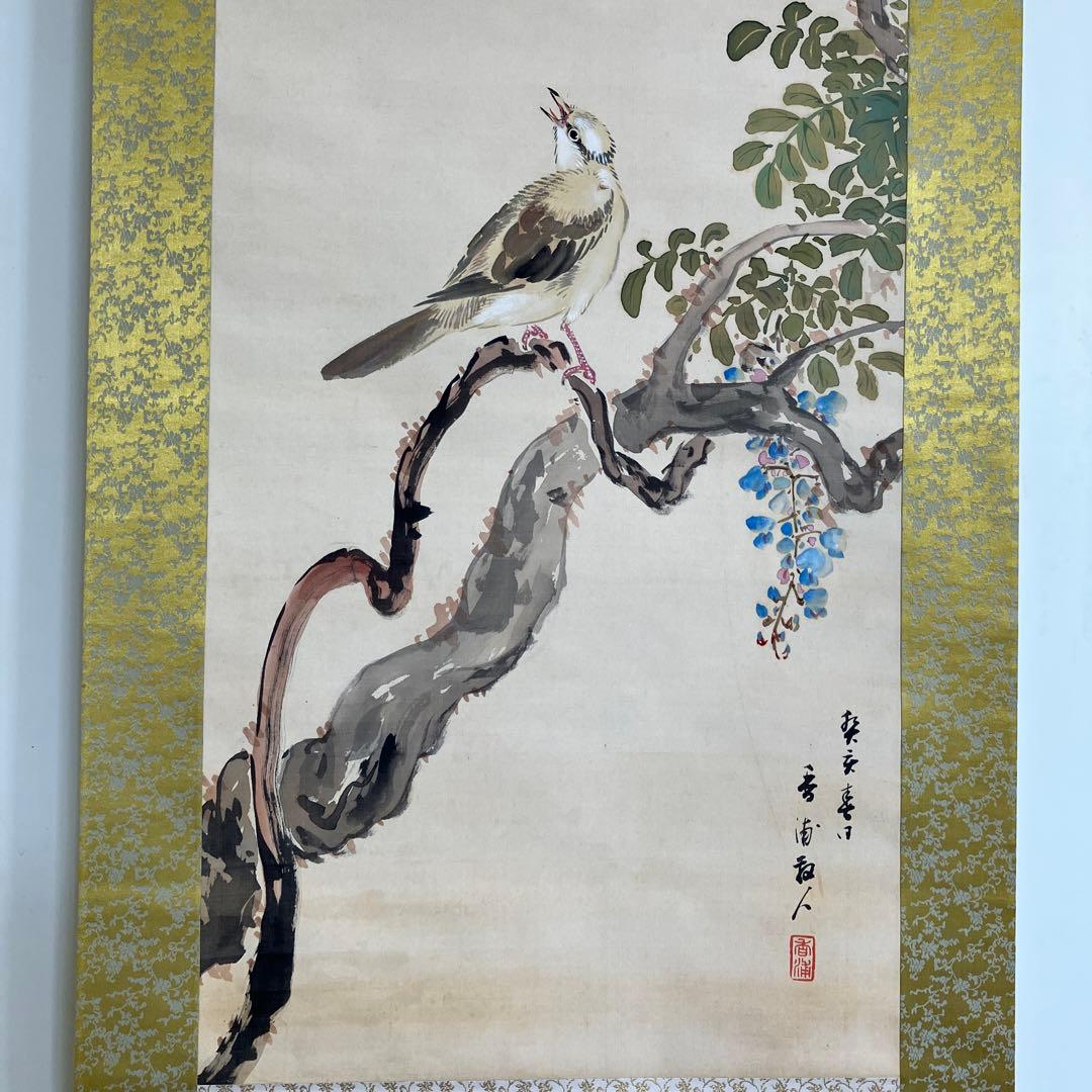 掛軸•日本画　森山香浦「藤に百舌鳥」