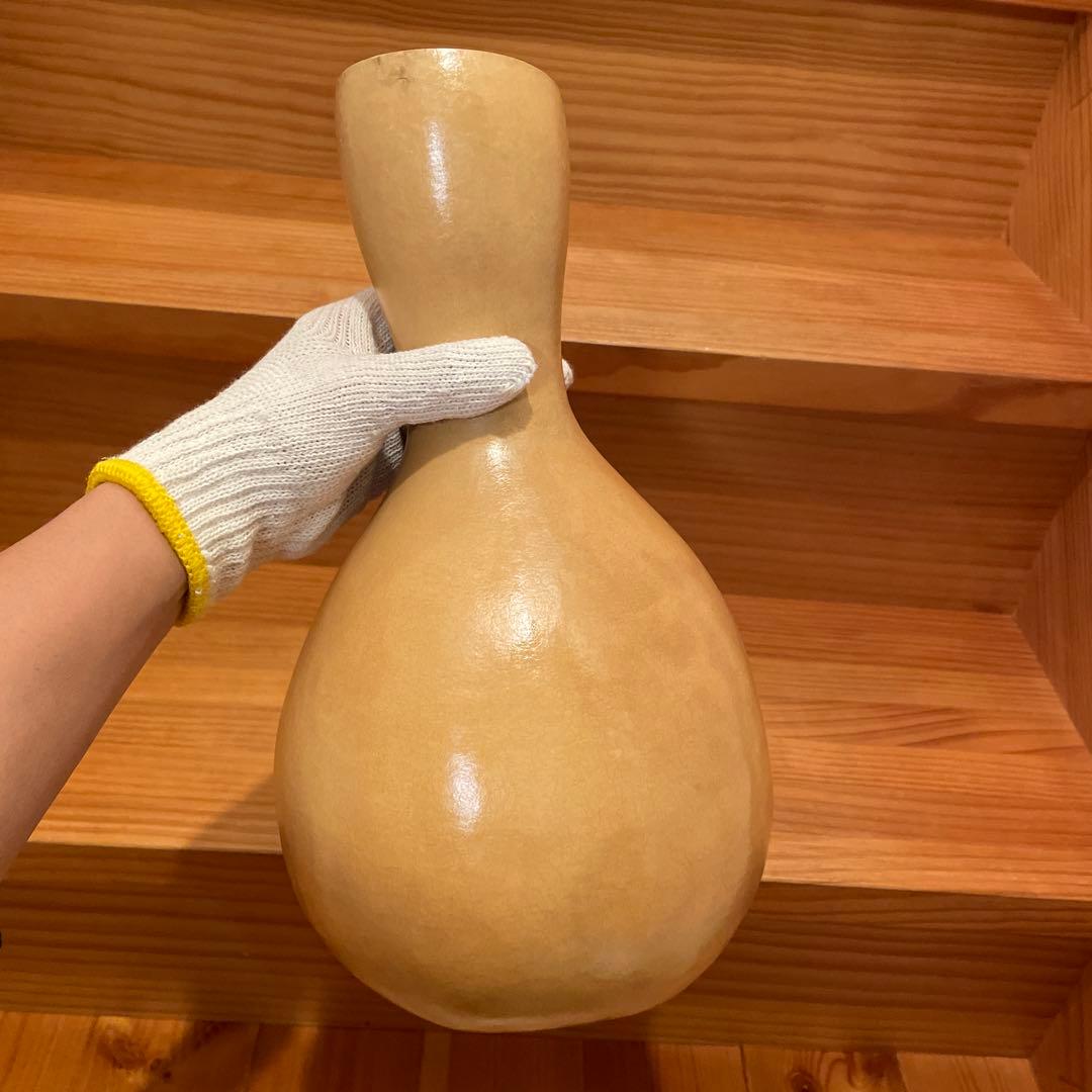 イプ　コーティング済