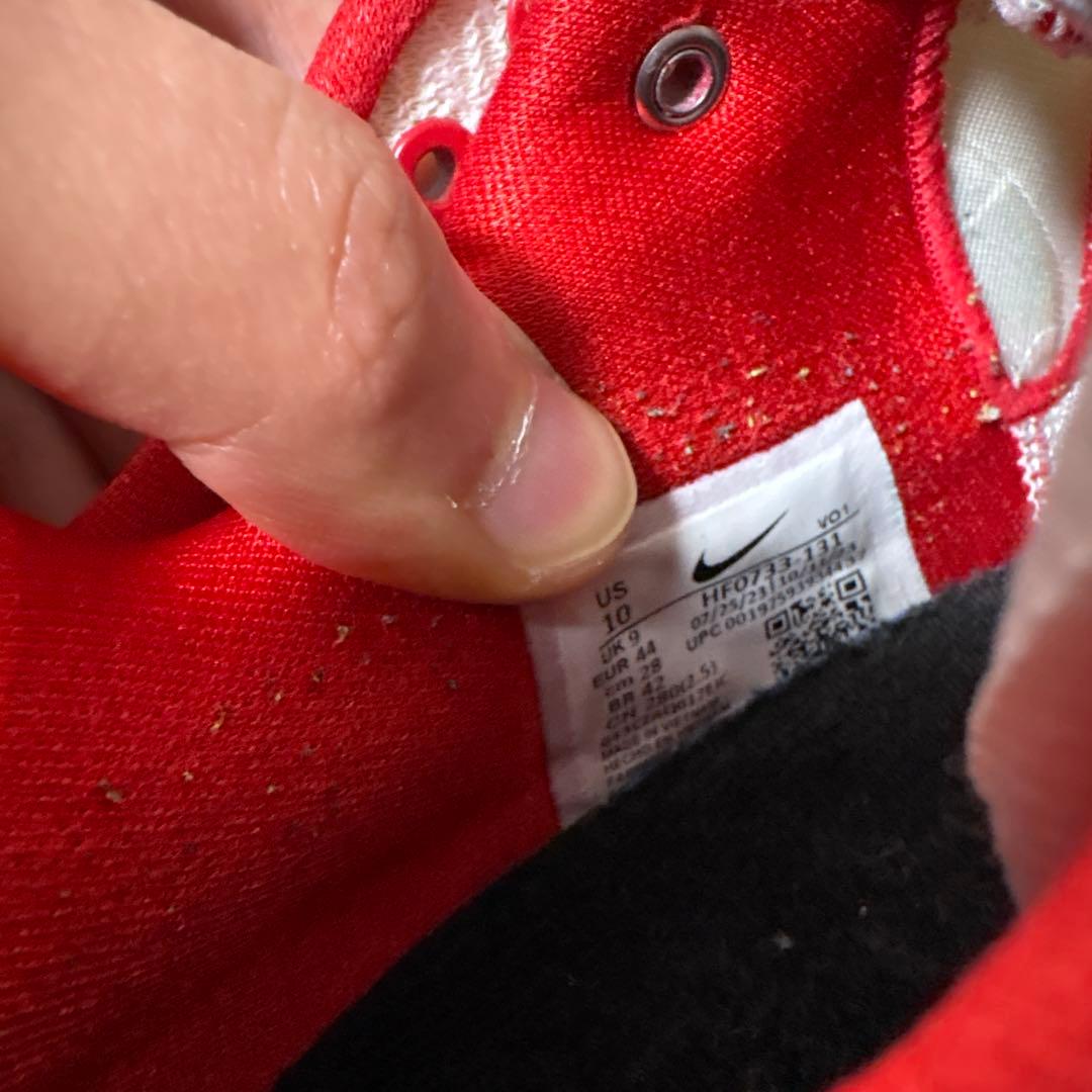 日本 未発売 28.0 NIKE ナイキ ハイパーダンクロー 2017 ドラゴン