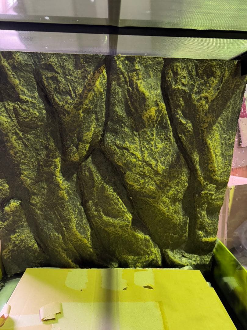 ナチュラルテラリウム 6060 ミディアム・タワー