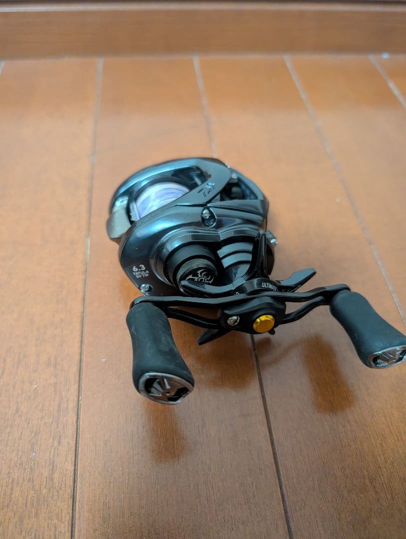 ダイワ 20タトゥーラ SV TW 6.3